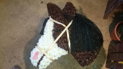 Horses head - At Flower Power we are delighted to offer this bespoke horses head funeral tribute in your choice of colour